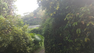20170124_165714
